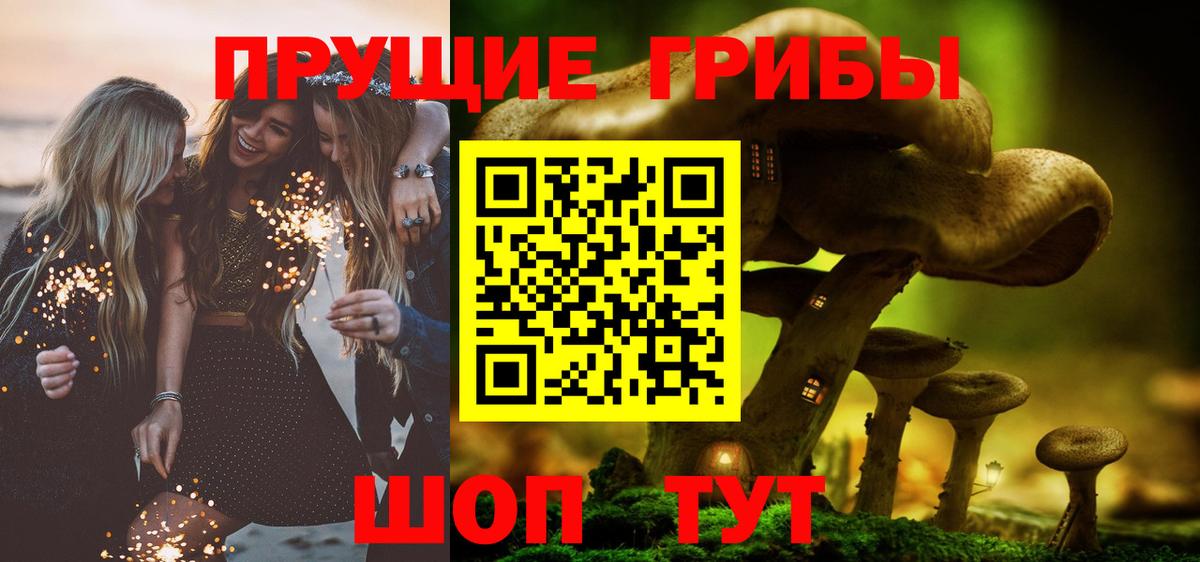 Галлюциногенные грибы Psilocybe  Вход с VPN  Галлюциногенные грибы прущие грибы  Воронеж 